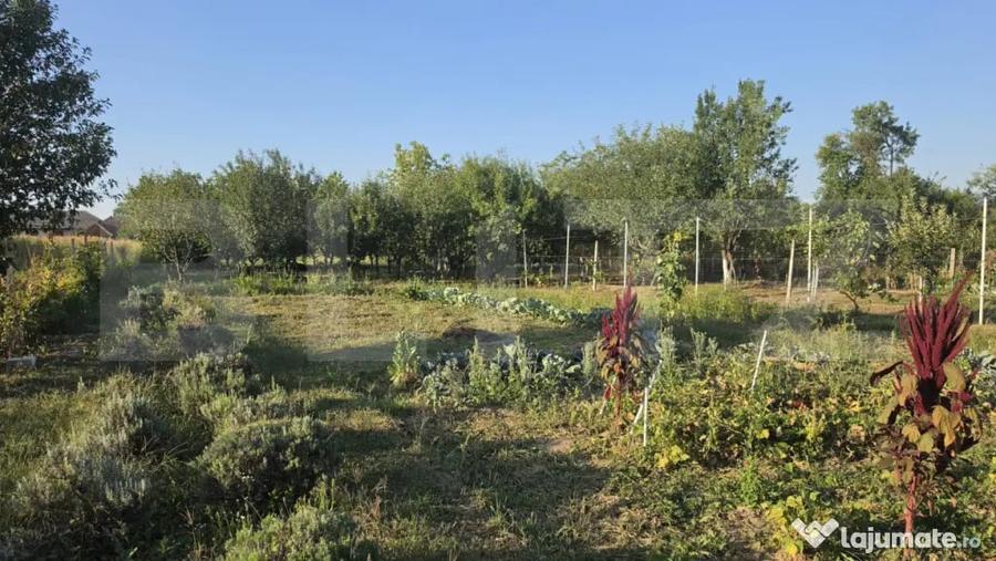 Casa 4 camere, 120 mp, teren 1700 mp, zona Pomi - 6