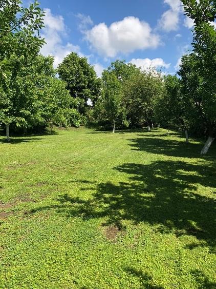 Casă individuală cu 5 camere cu Teren 4400 Mp în Nord-Vest