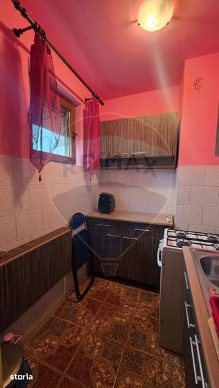 Apartament cu 3 camere de vanzare, str Tineretului - 1