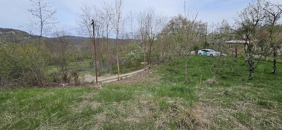 Teren de 3320 mp, în Provița de Sus