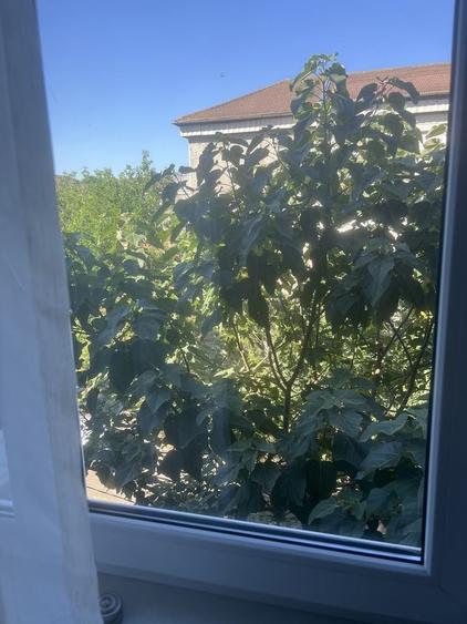 Apartament cu 3 camere decomandat în Rogerius