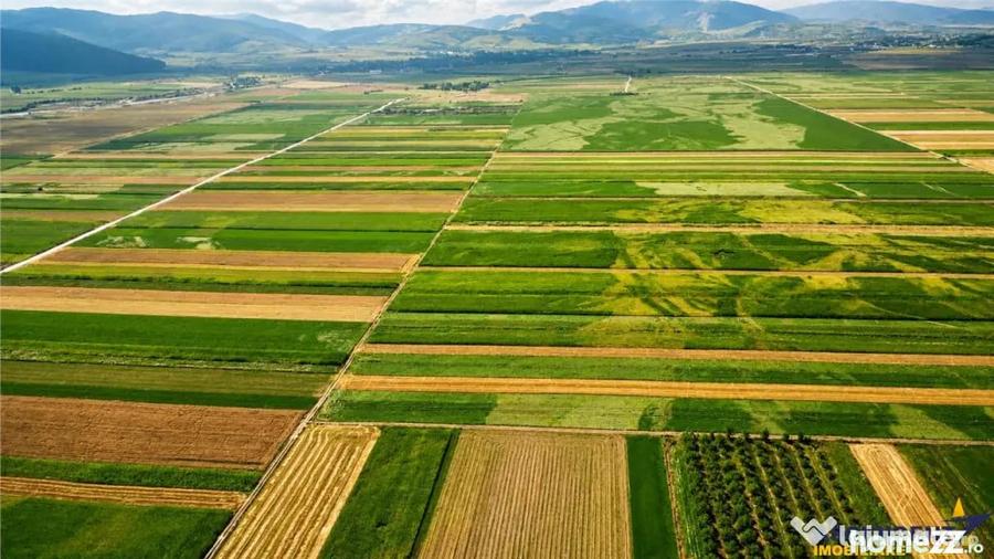 6 parcele cu autorizatie de construire si proiect aprobat: S - Stupinii Prejmerului (Brasov) - 3