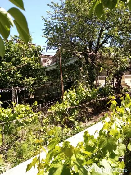 Casă cu 3 camere în Zorleni
