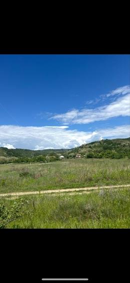 Teren de 4760 mp, în Șerbăneasa