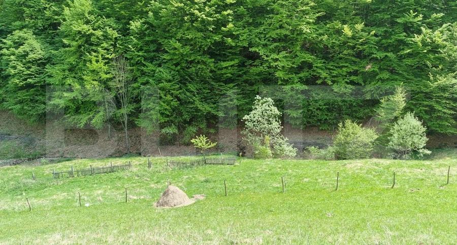 Teren agricol extravilan de 5400 mp, în Iara