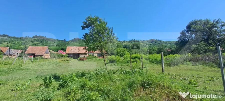 Teren intravilan 1.000 mp cu PUZ, priveli?te Mun?ii Faga - 4
