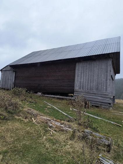 Casă în Albac