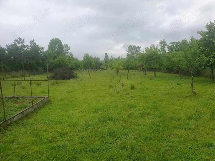 Casă cu 3 camere cu Teren 3000 Mp în Vărzari