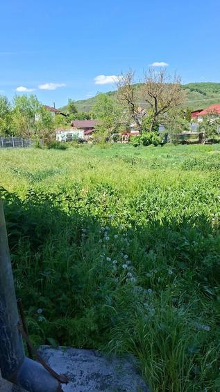 Teren de 1100 mp, în Băbuțiu