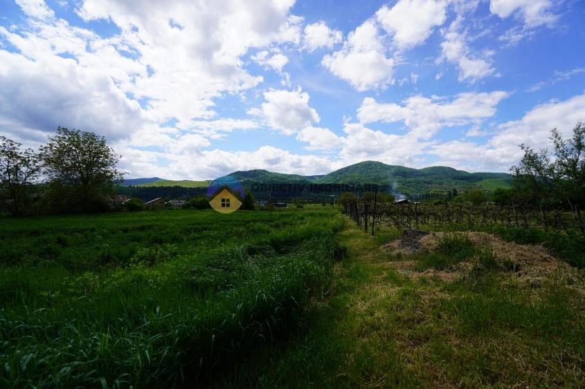 Teren intravilan de 9000 mp, în Vânători