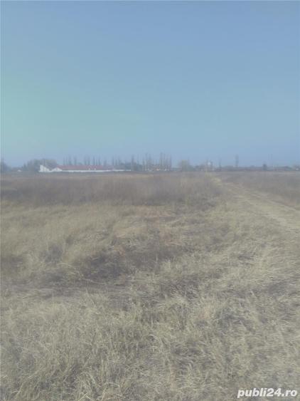 Teren de 8900 mp, în Șimian