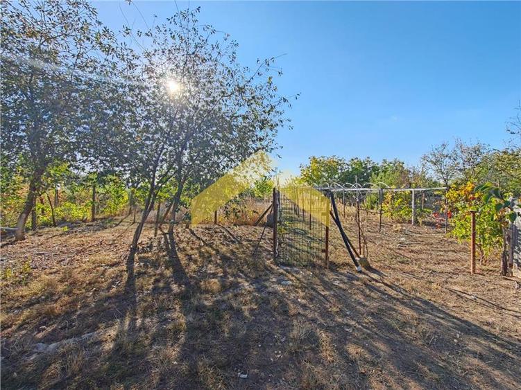Casă individuală cu 3 camere cu Canalizare în Bodrogu Nou
