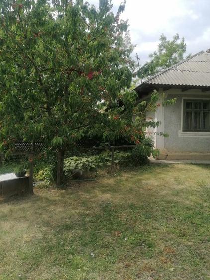 Casă individuală cu 3 camere cu Teren 1800 Mp în Brăești