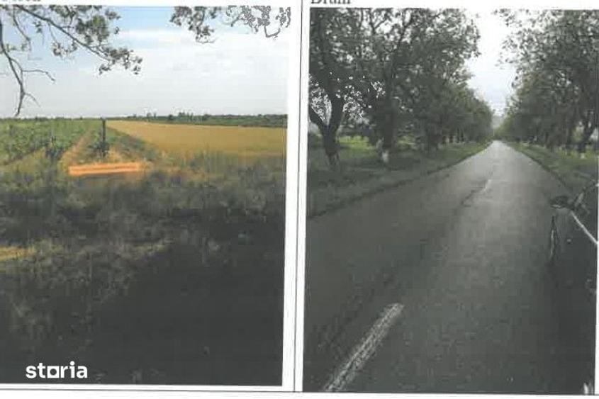 Teren de 1200 mp, în Ulmeni
