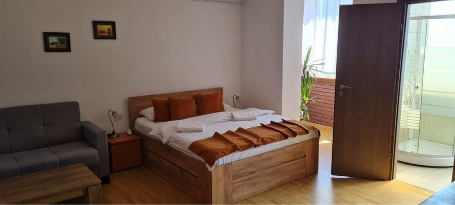Apartament în Sub Arini