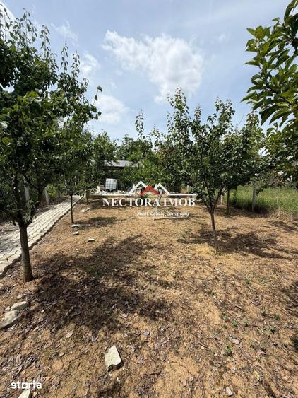 Teren de 375 mp, în Oncea