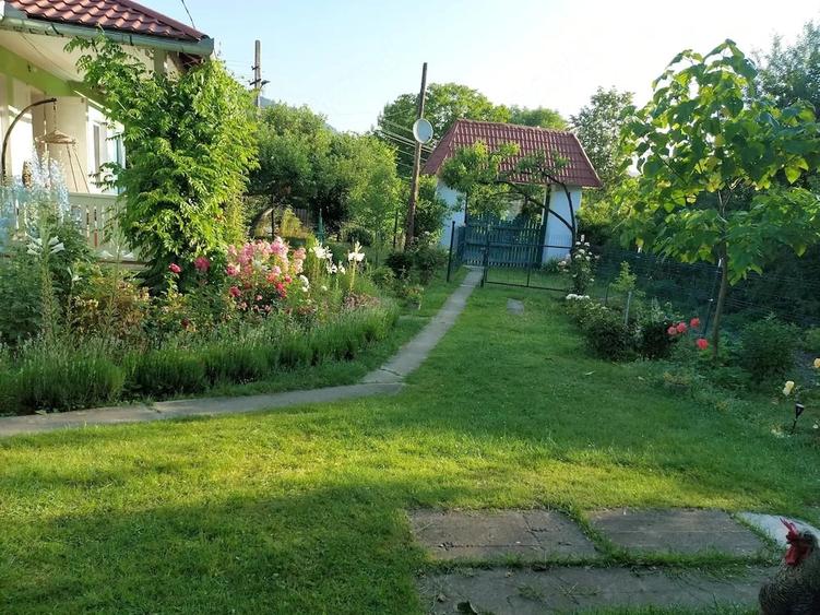 Casă cu 3 camere cu Teren 600 Mp în Central