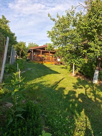 Teren intravilan de 1800 mp, în Viile Satu Mare