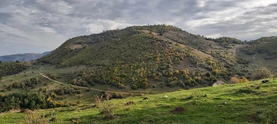 Teren în Central