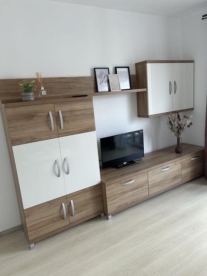 Apartament cu 2 camere decomandat în Avantgarden