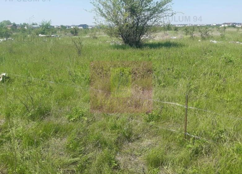 Teren Construcții intravilan de 29000 mp, în Est