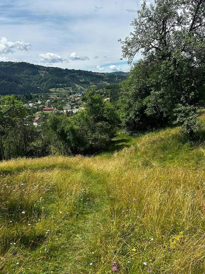 Teren de 5833 mp, în Bistra