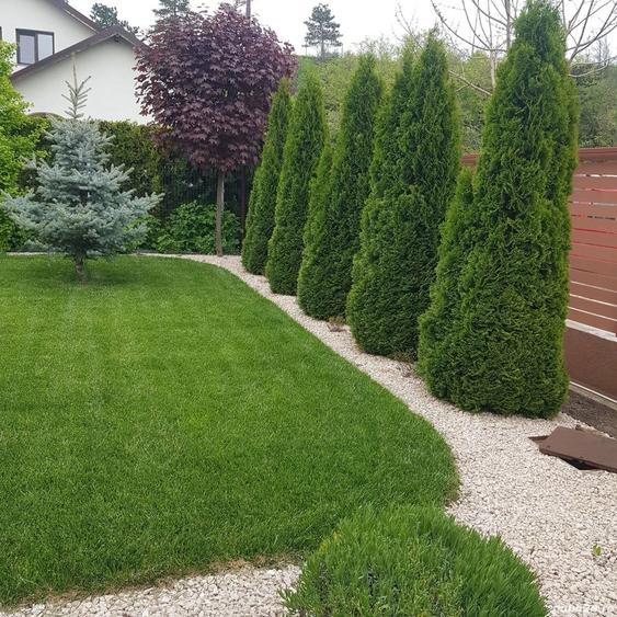 Casă cu 5 camere cu Teren 500 Mp în Mărăcineni