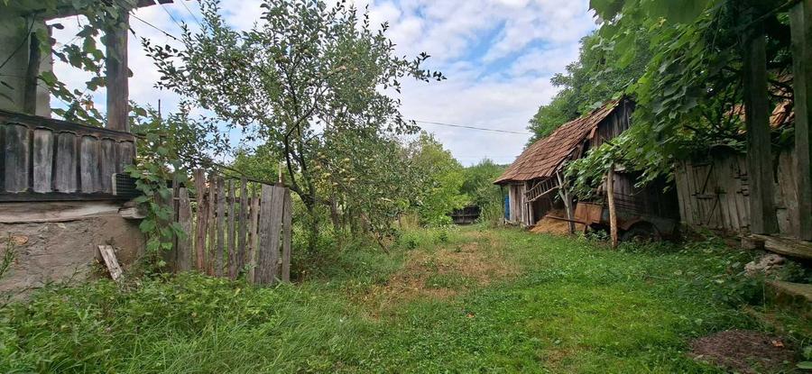 Teren de 10000 mp, în Foleștii de Jos