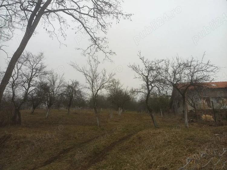 Teren de 2600 mp, în Fedeleșoiu