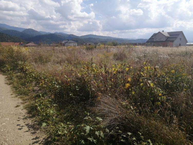 Teren Construcții intravilan de 1000 mp, în Cristian