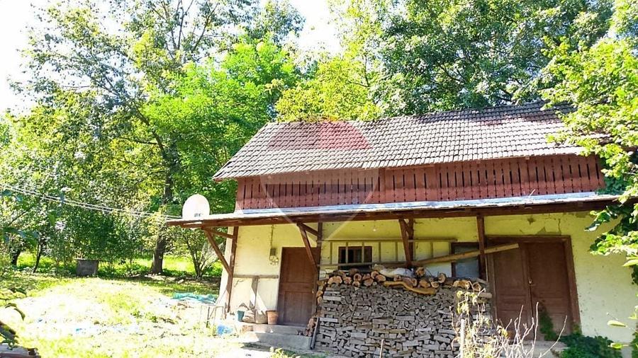 Casă cu 4 camere cu Teren 6676 Mp în Provița de Sus