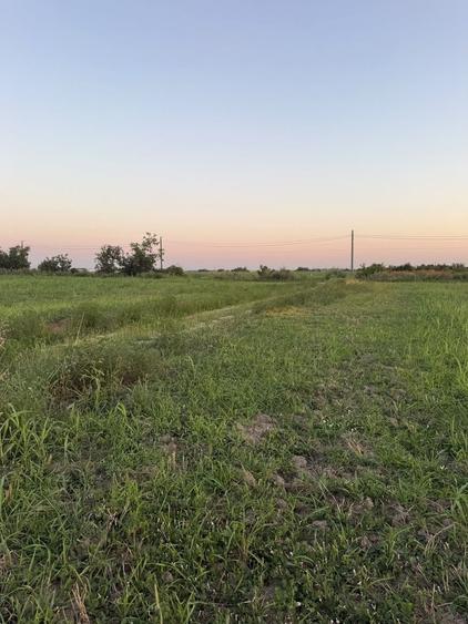 Teren agricol extravilan de 1000 mp, în Exterior Est