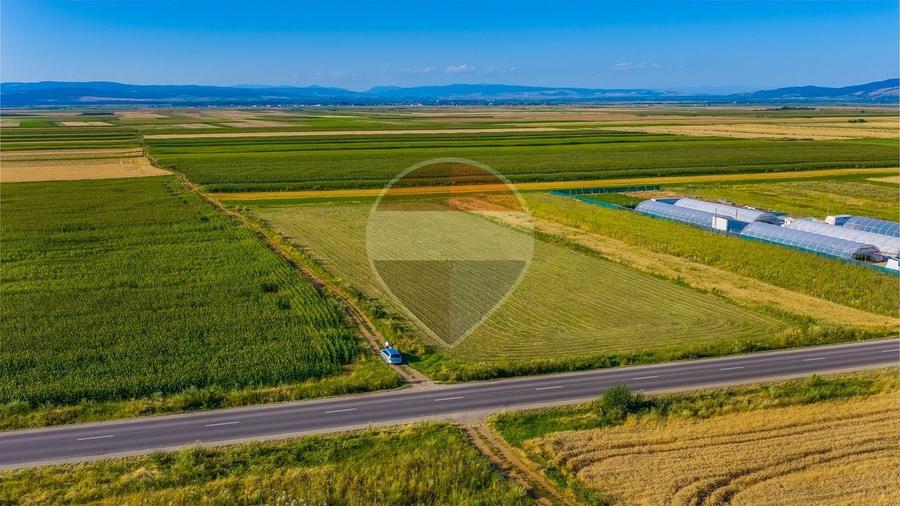 Teren Construcții intravilan de 7500 mp, în Tărlungeni