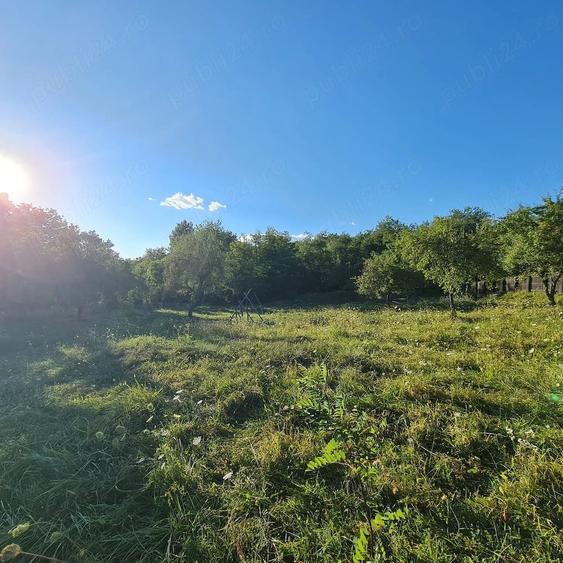 Teren de 2000 mp, în Prosia
