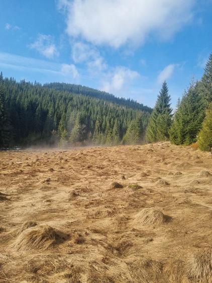 Teren de 43000 mp, în Fildu de Mijloc