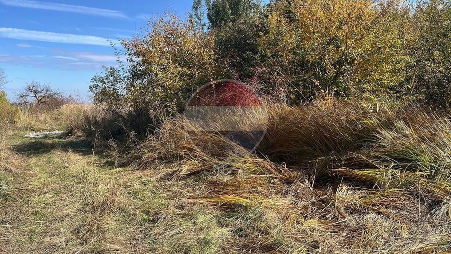 Teren agricol extravilan de 2900 mp, în Gheorghieni