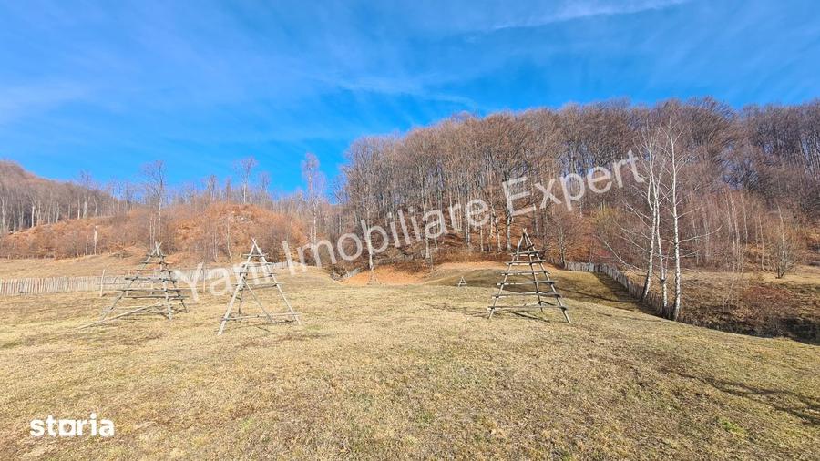 Teren de 4681 mp, în Cicănești