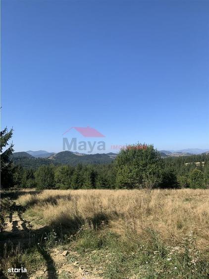Spațiu comercial, în Piatra