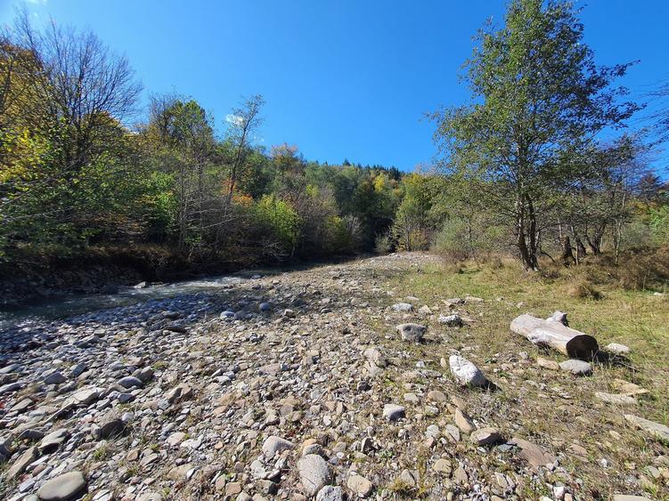 Teren agricol extravilan de 18800 mp, în Babarunca