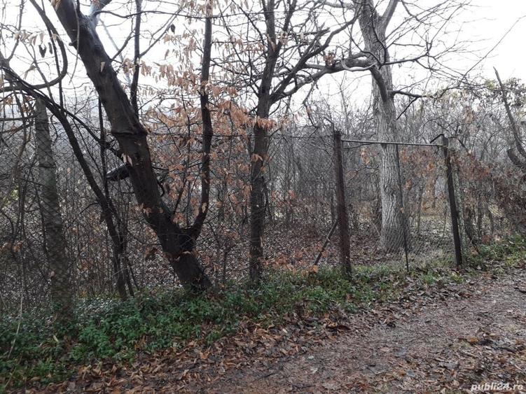 Teren de 530 mp, în Hamba