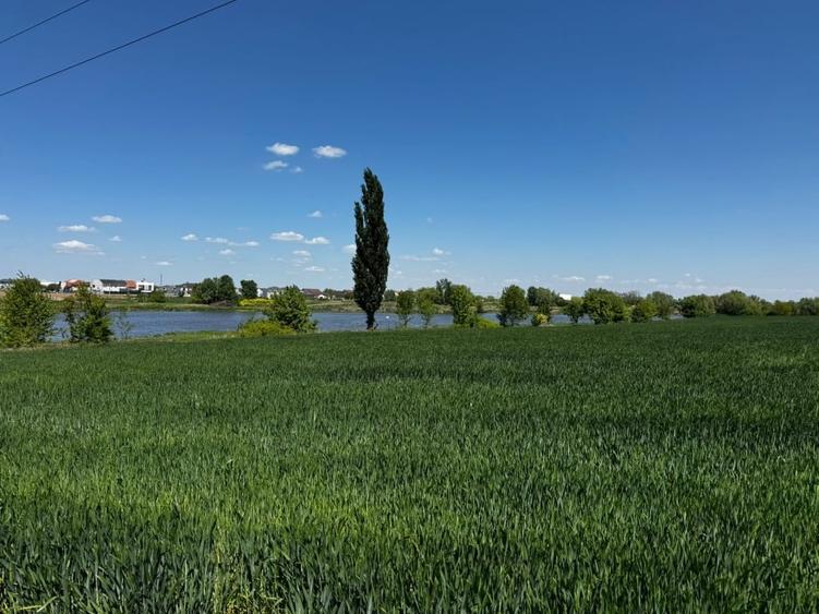 Teren Construcții intravilan de 601 mp, în Dumbrăvița