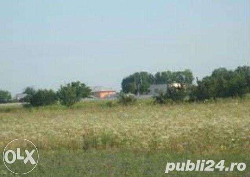 Teren de 644 mp, în Copăceni