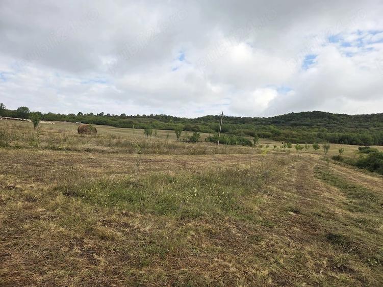 Teren de 6500 mp, în Central