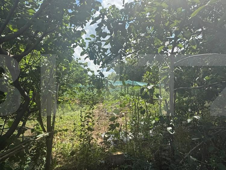 Casă individuală cu 2 camere cu Teren 5000 Mp în Schit-Orășeni