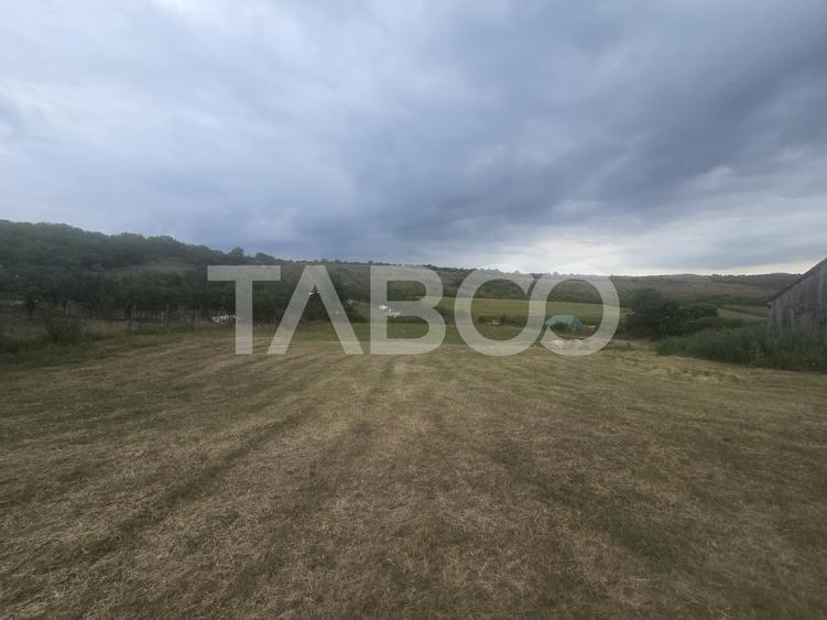 Teren agricol extravilan de 8700 mp, în Șura Mare