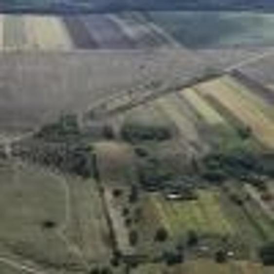 Arenda,concesiune teren,inchiriere - 2