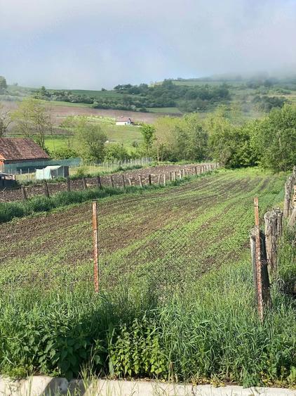 Teren de 1625 mp, în Șmig