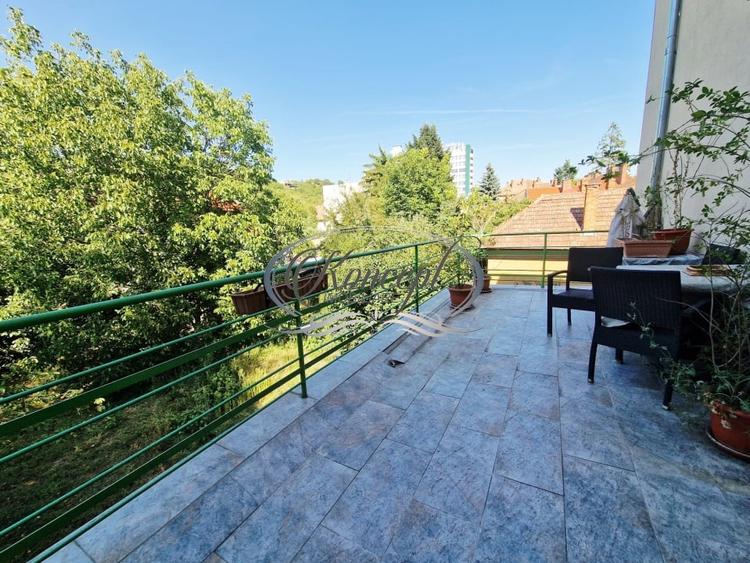 Apartament Pet-Friendly langa Parcul Central - 9