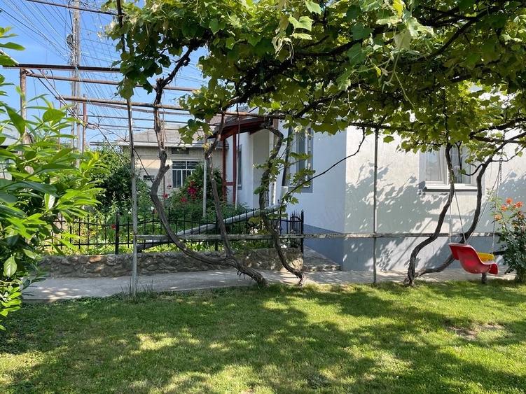 Casă cu Teren 780 Mp în Ipotești