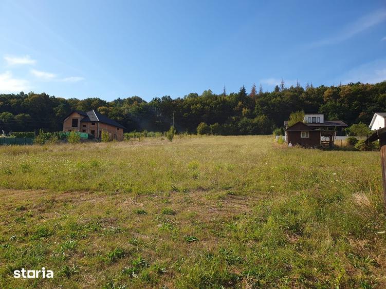 Teren de 2900 mp, în Livezeni